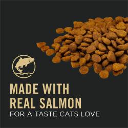 Made with Real Salmon