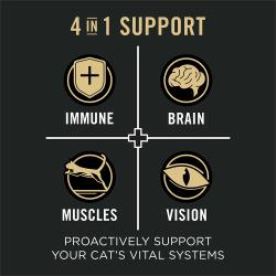 Pro Plan support
