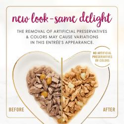 Alimento para gatos Fancy Feast Delicias con chédar sabor pollo