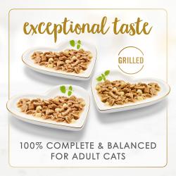 Fancy feast cheddar delights variety pack cat food