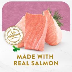 Made With Real Salmon