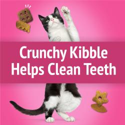 Crunchy Kibble Helps Clean Teeth