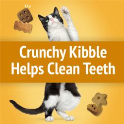 Crunchy Kibble Helps Clean Teeth