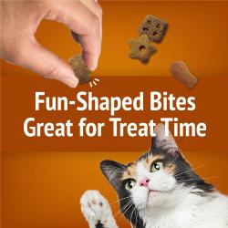Fun-Shaped Bites Great for Treat Time