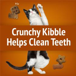 Crunchy Kibble Helps Clean Teeth