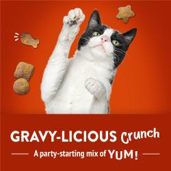 Gravy-licious Crunch. A party-starting mix of yum!
