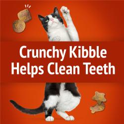 Crunchy Kibble Helps Clean Teeth