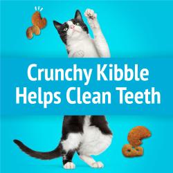 Crunchy Kibble Helps Clean Teeth