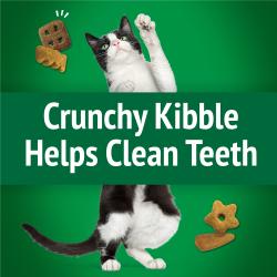 Crunchy Kibble Helps Clean Teeth