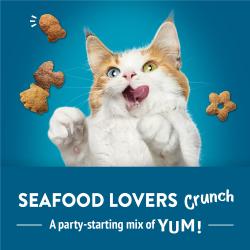 Seafood Lovers Crunch. A party-starting mix of yum!