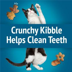 Crunchy Kibble Helps Clean Teeth