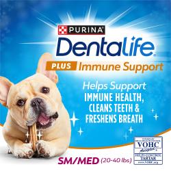 DentaLife Plus Immune Support ayuda a apoyar el sistema inmunitario, limpia los dientes y refresca el aliento.