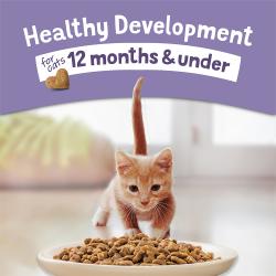 Healthy Development for cats 12 months & under