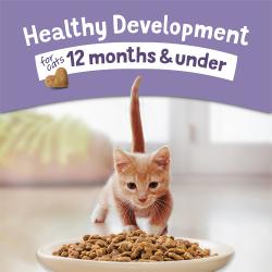 Desarrollo saludable para gatos de 12 meses y menos