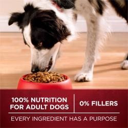 100% Nutrition for Adult Dogs, 0% Fillers, Every Ingredients Has a Purpose