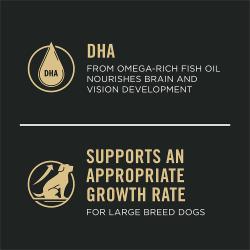 fórmula rica en proteínas, cuyo ingrediente principal es la carne real de salmón