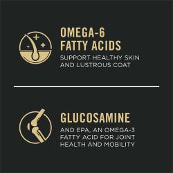 Ácidos grasos omega 6