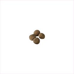 dry dog food
