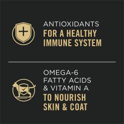 Antioxidants For A Healthy Immune System