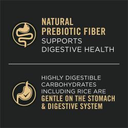 alimento húmedo para perros en un plato rojo