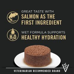 Great Taste With Salmon As The First Ingredient