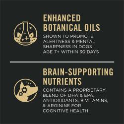 Aceites botánicos mejorados, nutrientes que mejoran el cerebro