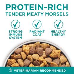 protein-rich tender meaty morsels