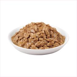 cuenco de alimento para gatos de salmón