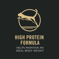 high protein formula