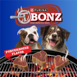 Purina T-Bonz Porterhouse Flavor Steak-Shaped Dog Treats