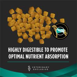 Purina Pro Plan Veterinary Diets EN Gastroenteric Canine Dog Food Dry Formula