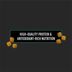 Purina Pro Plan Veterinary Diets EN Gastroenteric Canine Dog Food Dry Formula