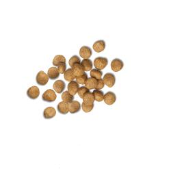 Purina Pro Plan Veterinary Diets EN Gastroenteric Naturals With Added Vitamins, Minerals and Nutrients Canine Dry Natural Dog Food