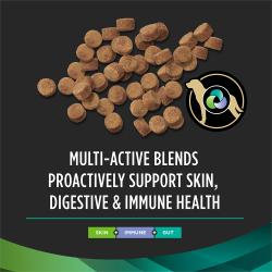 Contains a prebiotic, probiotic, postbiotic blend to provide digestive and immune system support for dogs