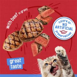 With beef in gravy. Great taste. No artificial colors or preservatives seal.
