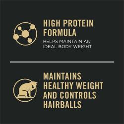Formula rica en proteínas