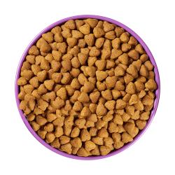 Croquetas de pollo y arroz