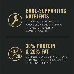 Un 30 % de proteína y un 20 % de grasa
