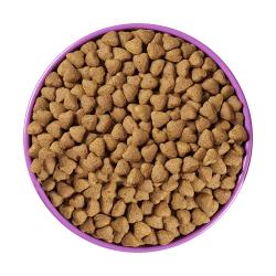 Granos de alimento