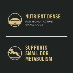 Supports Small Dog Metabolism