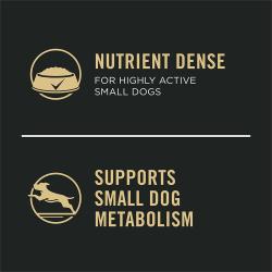 Apoya el metabolismo de perros pequeños