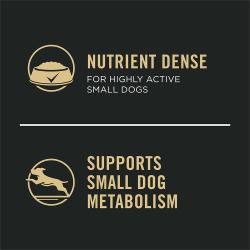 Supports Small Dog Metabolism