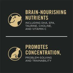 Promotes concentration