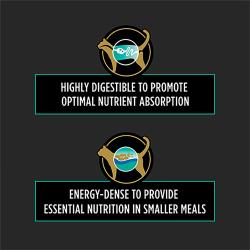 Energy-dense to provide essential nutrition in smaller meals