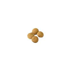 Purina Pro Plan Large Breed Weight Management Chicken & Rice Formula dry dog food kibble.