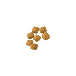 pro-plan-dry-dog-wm-cknrc_2