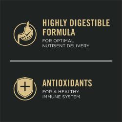 pro-plan-dry-dog-wm-cknrc_3