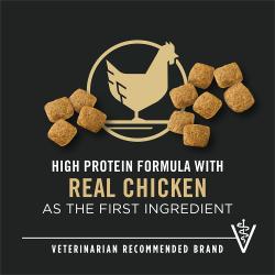 pro-plan-dry-dog-wm-cknrc_5