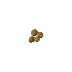 pro-plan_dog_large_beef_rice_2