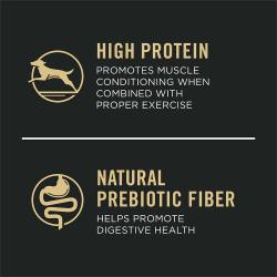 pro-plan_perro_grande_carne_arroz_4